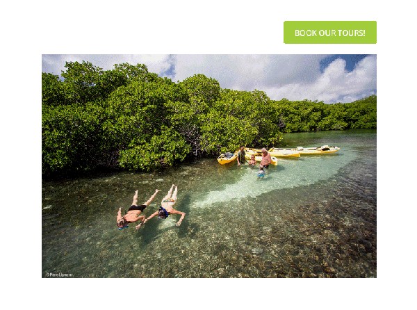 mangrovecenter.jpg